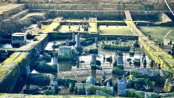 寧波餘姚河姆渡遺址博物館【導覽講解服務丨1對1私講團丨時長時段可選】