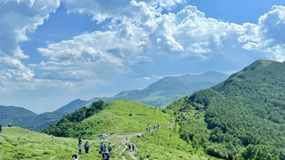 北靈山健行一日遊【高山草甸+10km環穿】