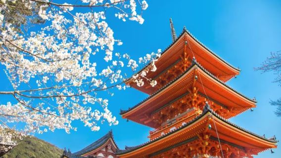 京都+清水寺+東福寺+伏見稻荷大社+金閣寺+嵐山一日中文包車