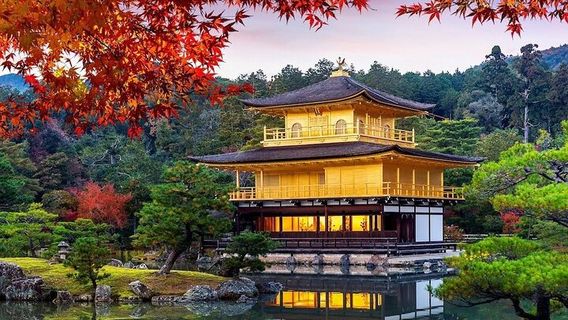 ToyookaTours