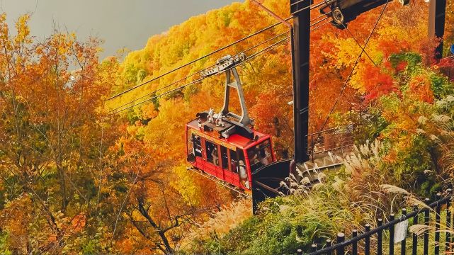 With complimentary cable car · Tokyo Mt. Fuji autumn foliage Lake