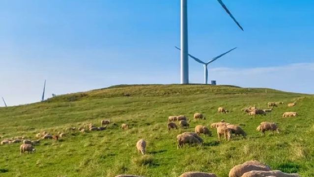 1-day tour to Wumeng Grass Plain + Yeyuhai Yi Ethnic Town [small group of 4-8 people - no shopping] in Cool City