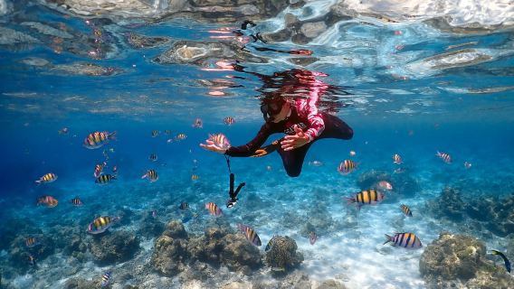 Phuket Departure: speedboating 1-day tour to Racha Island (Island Visit + Snorkeling + Dolphin Watching)