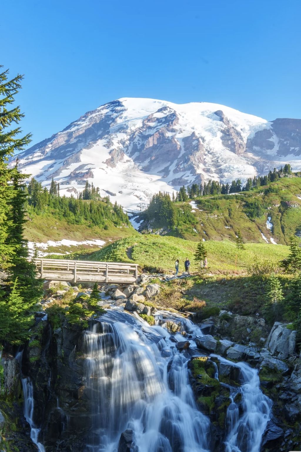 1-day tour to Mount Rainier National Park from Seattle (shared transfer)|Ticket included