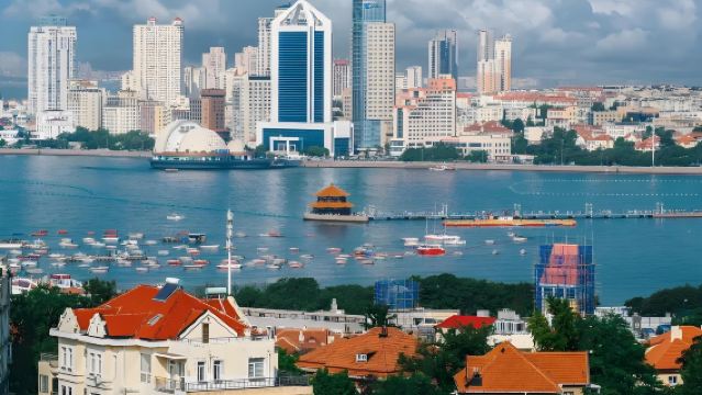 【純玩包車 提供海鷗食物】棧橋+啤酒博物館+五四奧帆一日遊