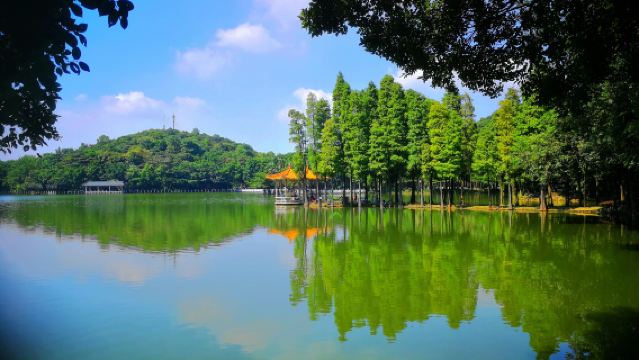 廣州/佛山出發:佛山西樵山+白雲洞+聽音湖一日【私家團】