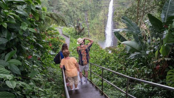 Big Island: Waterfall Tour with Swimming & Botanical Garden