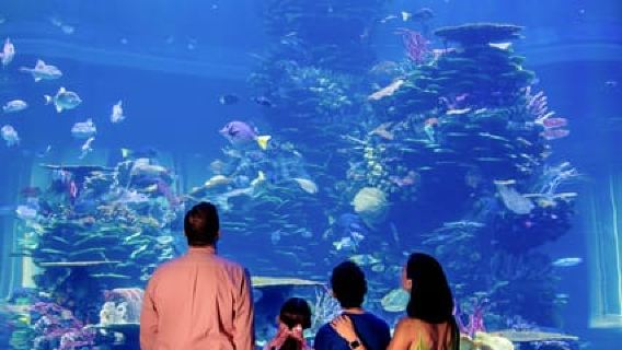 Gran Acuario Mazatlan