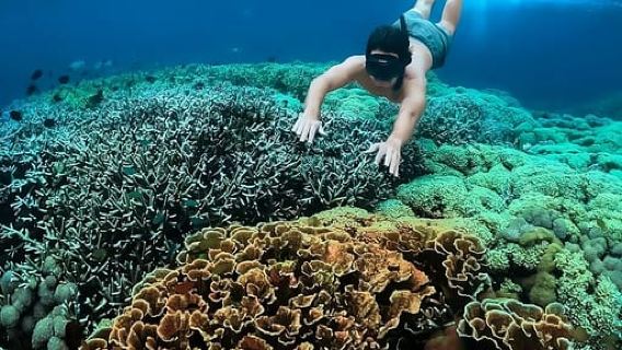 "Discover Gili Nanggu: A Secret Island Escape Awaits You!"