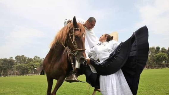 From Trujillo | Marinera show with Peruvian Paso horses
