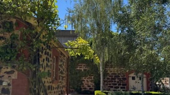 "Barossa Tour from Adelaide: 4 Tastings & Lunch Included"