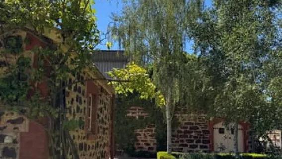 "Tour della Barossa da Adelaide: 4 degustazioni e pranzo inclusi"