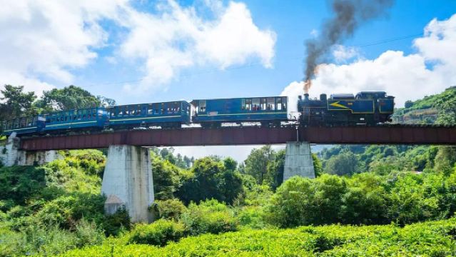 Excursión de un día a Ooty desde Coimbatore con viaje en tren Nilgiris
