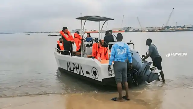 The whale ballet: Cetacean watching off Pointe-Noire
