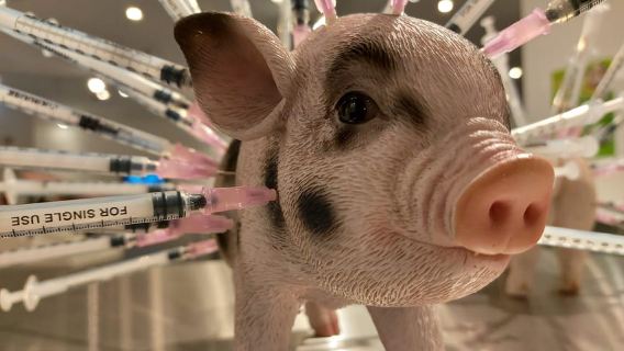 Berlino: biglietto d'ingresso e degustazione al Museo del cibo disgustoso