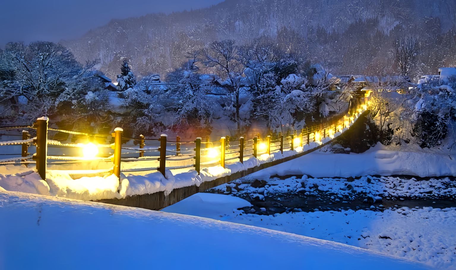 Shirakawa-go Day Tour