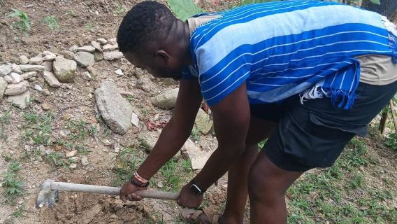 ภูเก็ต: ทัวร์ศูนย์อนุรักษ์ช้างป่าตองพร้อมบริการรับส่ง