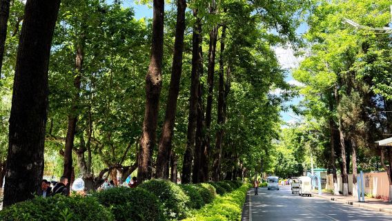 однодневный тур по Цветочному городку Доунань в Куньмине, Национальной деревне Юньнань и парку Хайгэн на озере Дяньчи с услугами на китайском и английском языках