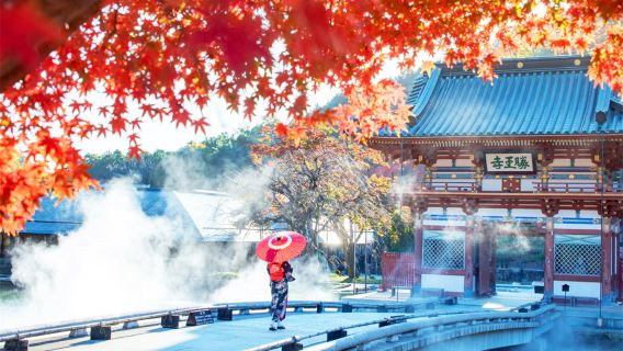 Excursion d'une journée à Osaka : temple Katsuo-ji + Kyoto : Arashiyama + village de chaumières de Miyama, admirer les érables en automne et écouter le vent dans la bambouseraie