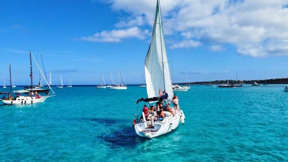 Ab Stintino: Asinara-Segelboottour mit Mittagessen