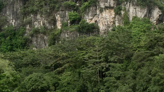 Excursión de un día por el casco antiguo de Guigang, el lago Donghu, el parque forestal Pingtianshan y el templo Nanshan con servicio en chino e inglés