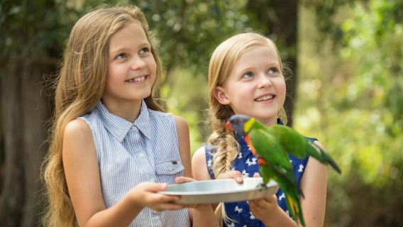 Paradise Country: Pengalaman Ladang Aussie Terbaik