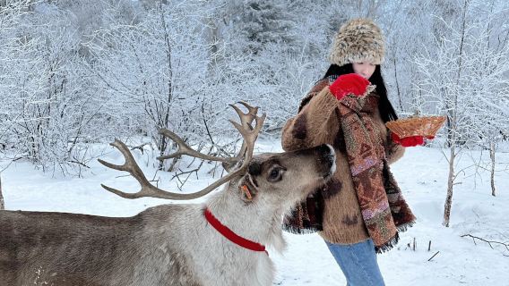 [장백산] 얼다오바이허+설령/노리고호(라오리커 후) 전세 차량 데이투어