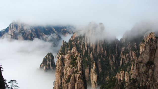Lawatan sehari terbaik Huangshan: Pokok Penyambut Tetamu + Puncak Cahaya Terang + Puncak Surat