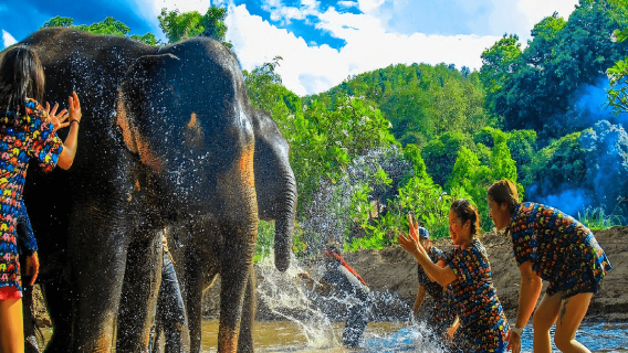 Excursión de medio día con elefantes KANTA desde Chiang Mai con traslado