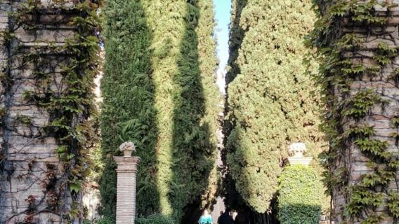 Granada: Historic Center Guided Tour