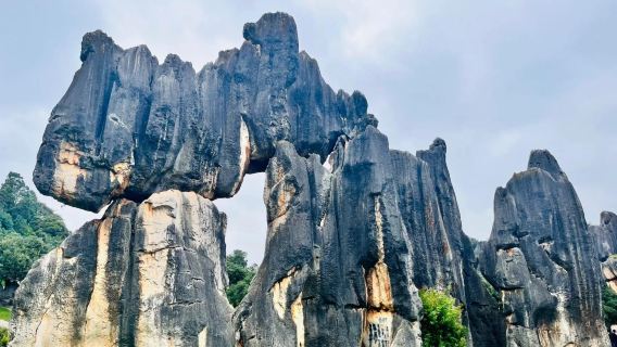 Excursion d'une journée en petit groupe avec voiture avec chauffeur pour découvrir les merveilles de Shilin et les sources chaudes de Shihai à Kunming, Yunnan