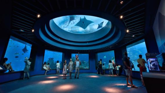 S.E.A. Aquarium VIP Tour