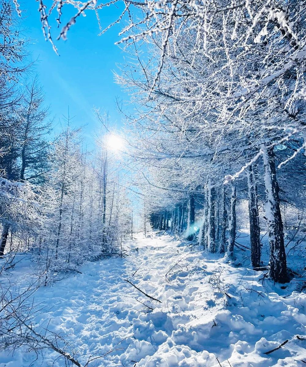 張家口共乘樺皮嶺1日徒步踏雪+市區可上門接駁+司機導遊