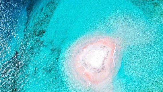 Snorkeling Day Tour to Gili Islands in Lombok, Indonesia