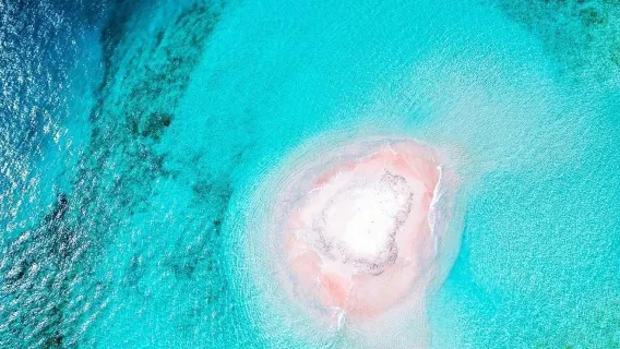 Snorkeling Day Tour to Gili Islands in Lombok, Indonesia