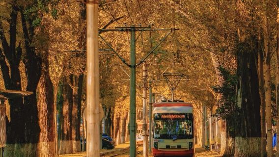 長春出發南湖公園+偽滿皇宮博物院+長春舊址博物館包車一日遊