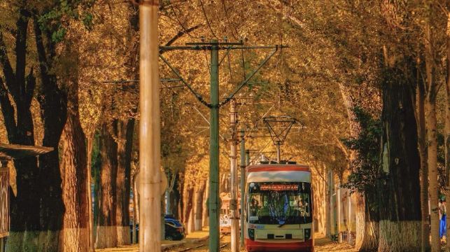 長春凈月潭+長影舊址博物館+這有山包車一日遊