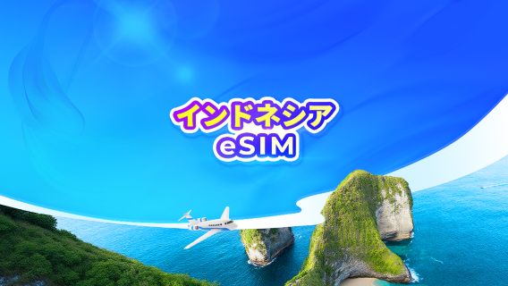 インドネシア 5G eSIM | TikTok・ChatGPT対応 | デイパス・データパッケージ | 24時間課金 | 1～30日間 | QRコード