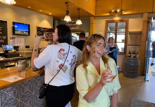Yarra Valley & Dandenongs Ranges Wine Tasting Half-Day Tour [Round-Trip from City/3 Wineries/Morning or Afternoon Option] AUD 161.12