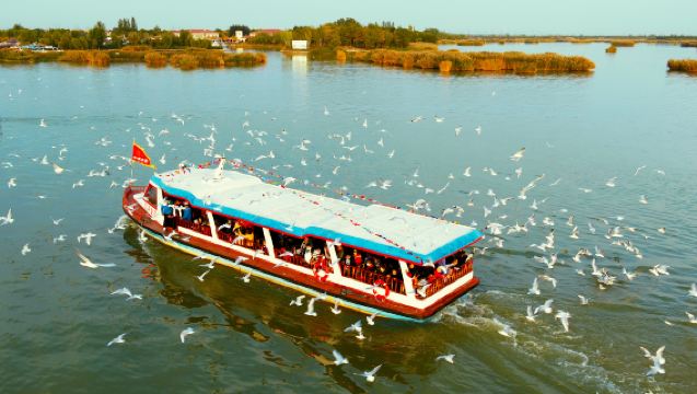寧夏 銀川沙湖景區一日遊 │親子遊/家庭遊