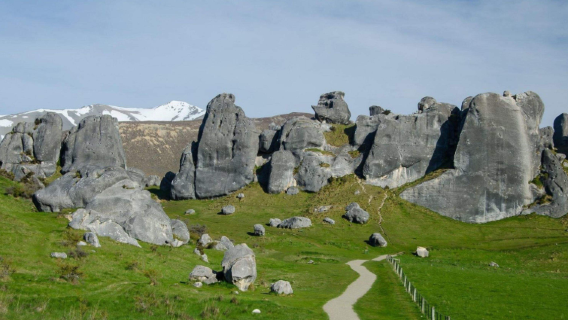 Passeio de um dia de ida e volta em Christchurch: Passagem de Arthur + Castle Hill [Tour em inglês]