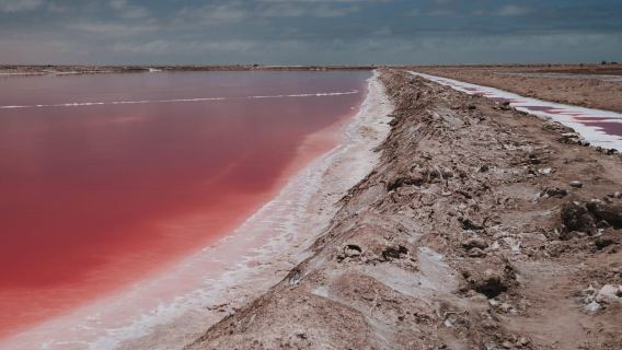 Ab Walvis Bay: 4x4-Tour durch Sandwich Harbour