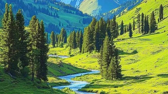 【伊路瓊景】去雲端伊犁 2-6人精品小團