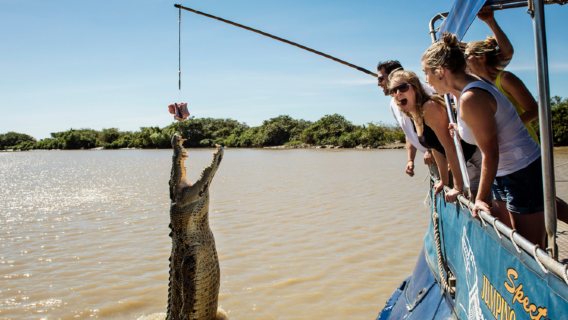 Passeio de meio dia de barco para observação de crocodilos no Rio Adelaide em Darwin, Território do Norte [Grupo em inglês | Transferências em vários pontos]