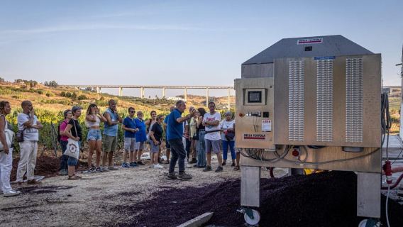 Alcamo: Farm to Table- Wine Lunch/dinner experience