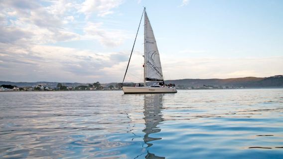 Knysna: 2.5-Hour Day Sail & Lunch Charter