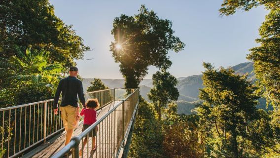 Paronella Park and Mamu Tropical Skywalk Ticket Combo