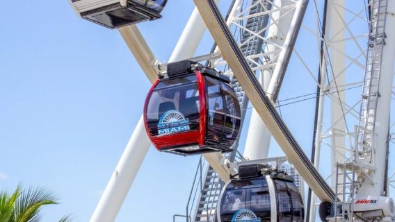 Pass in Miami: 30+ Attraktionen, eSIM & Einfacher Flughafentransfer