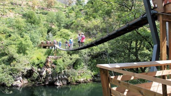 Leave Porto and go hiking in the Paiva Walkways, Arouca