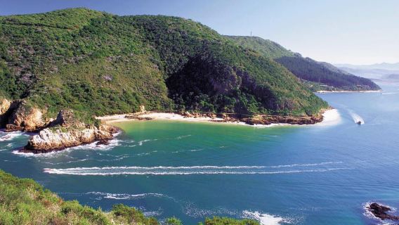 Knysna: Luxury Catamaran Marine Adventure Tour